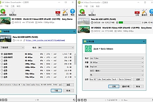 4K Video Downloader v4.20.1