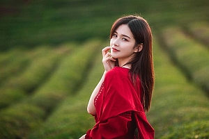 高清茶园里红裙美女桌面壁纸