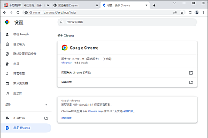 Google Chrome v101.4951.41增强版