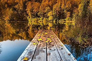 唯美秋叶风景壁纸图片