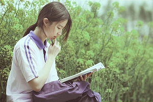 油菜花背景刘亦菲看书清纯美女壁纸