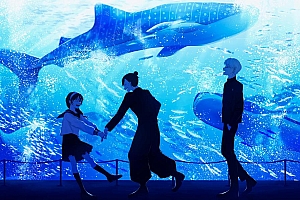 海洋馆里幸福的一家人动漫壁纸