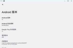 【系统工具】win11安卓系统系统Android 12.1