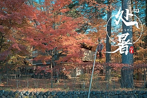 2021处暑节气自然风景桌面壁纸