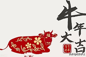 今期生肖十一头,三三上下左右好指的什么生肖(老话常说今期生肖十一头,三三上下左右好的意思)