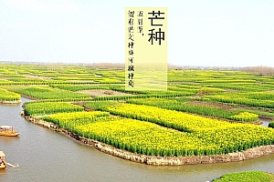 二十四节气之芒种带文字清新唯美壁纸图片