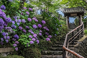 京都伏见稻荷风景图片高清风景桌面壁纸