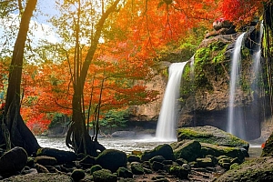 好看的爱上唯美的金秋风光美景高清壁纸