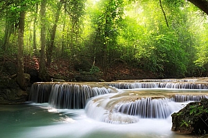自然瀑布树木阳光美丽风景电脑桌面壁纸