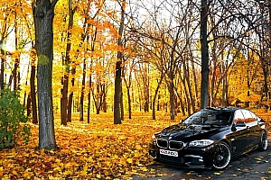 秋天树林中黑色轿车图片风景壁纸