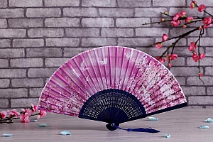 好看的古风扇子图片手机壁纸图片