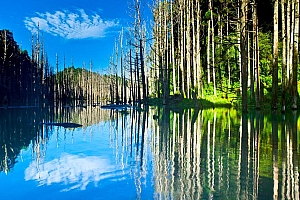 高清郁郁葱葱森林湖泊美景电脑桌面壁纸