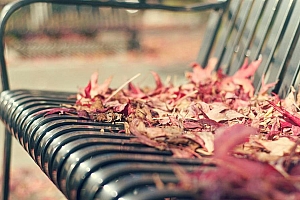 唯美椅子上的落叶唯美桌面壁纸