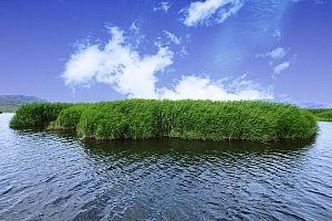 新疆可可托海图片风景电桌面壁纸