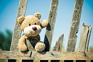 小清新玩具熊图片壁纸