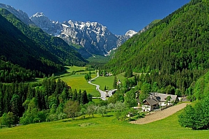 绿色葱葱的阿尔卑斯山自然风景桌面壁纸