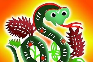 蓝蓝红红好码来是什么生肖(蓝蓝红红好码来的由来)