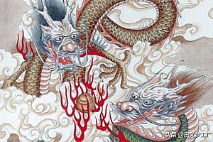 最新解释《白兔赤乌》猜一生肖(白兔赤乌)指的什么生肖