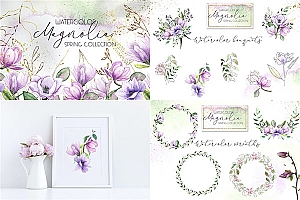 水彩木兰花图案背景