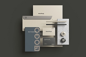 简约VI模板设计