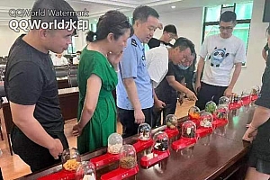 中原街道:禁毒宣传进社区 筑牢无毒“安全线”