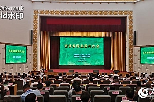 久久为功打好种业“翻身仗” 吉林省种业振兴大会在长春召开