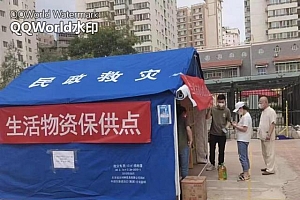 甘肃兰州:“合作社+农户”,七里河区切实保障蔬菜供应