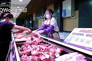 河北鸡泽:“全链条追溯”保障食品安全