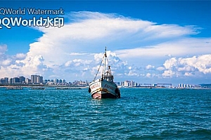 “重金”扶持,精准“滴灌”!青岛政策再加码,护航“活力海洋之都”