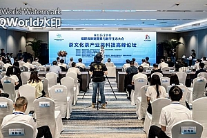 茶文化茶产业茶科技高峰论坛在福州召开