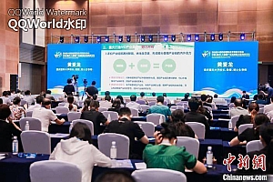 业界人士西洽会共话重庆大健康产业发展之道