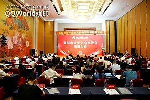 好消息!事关襄阳这些企业