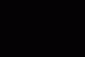 “能帮就帮,已经成为我们的一种习惯”——来自社区防疫一线的报道(四)