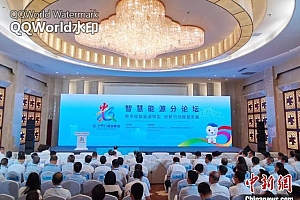 第五届数字中国建设峰会智慧能源分论坛举行