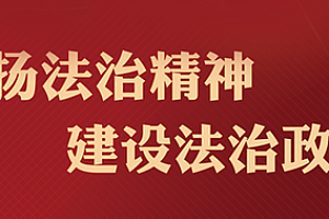叶县法院组织开展集中执行行动 依法保障当事人胜诉权益