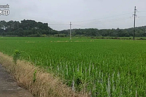 记者跟踪采访!揭秘全州“三剑客”背后的故事