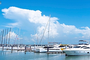 海口全力以赴做好第二届消博会游艇展各项筹备工作