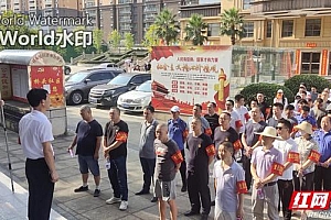 小区党员唱主角 基层治理显效能——临湘市深入开展“小区吹哨 党员报到”活动