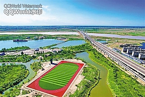 黄河岸边绿意盎然