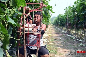 河北大城:工艺葫芦助农增收致富