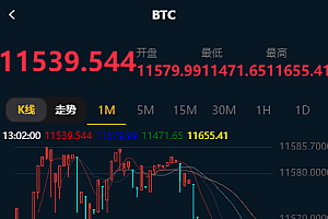 价值8000元的猫力币数字资产交易平台,usdt,btc,eth,bch……