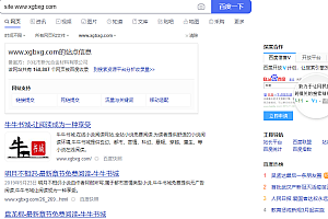 2021牛牛书城小说网PHP网站源码,章节实时更新、小说24小时自动采集