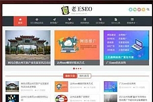 SEO优化技术教程网站源码 自适应手机端 织梦dedecms模板