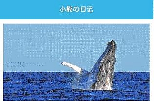 小熊的日记图文列表布局小程序模板