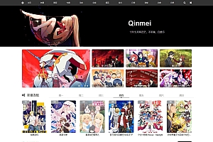 国人原创功能强大wordpress视频主题