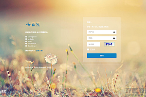 RuoYi若依管理系统v4.5.1源码+定时任务功能