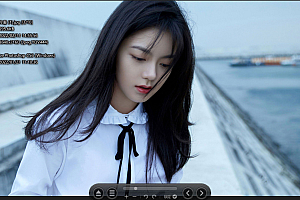 【看图工具】Honeyview 免费的图像查看器 V 5.48 软件不到10MB