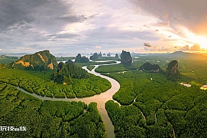 红树林风景图片电脑风景壁纸