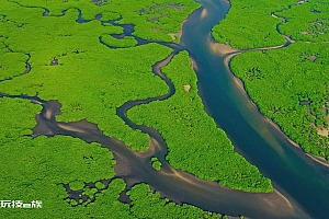 树林河流风景2k自然景观电脑桌面壁纸