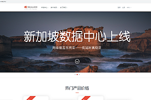 新加坡VPS:原生本地IP(可选多个),megalayer,$39/年,1G内存/1核/50gSSD/3M高端直连带宽